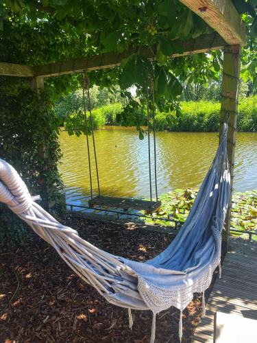 Medemblik House | Gezellige Pipo met grote schommel aan het water