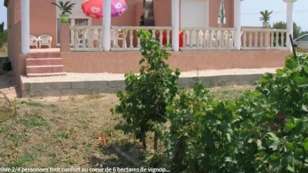 Saint-Laurent-de-la-Salanque Cottage | Gite 2 in the heart of 6 hectares of vineyard - Saint-Laurent-de-la-Salanque