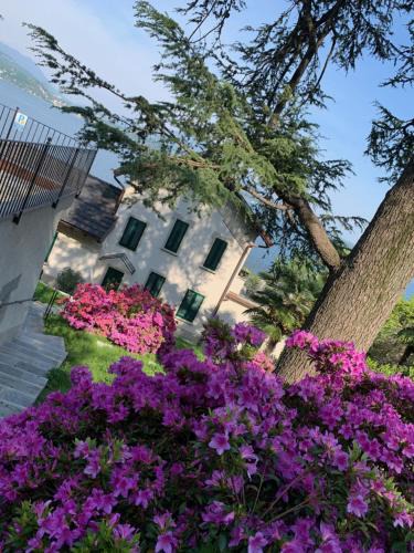 Belgirate Apartment | Giardini MAGNOLIA