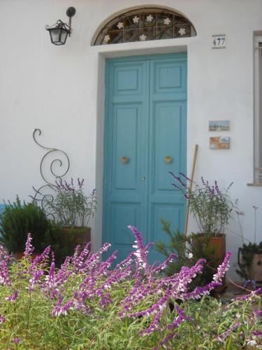 Altamura Bed & Breakfast | Giardino della Moscatella