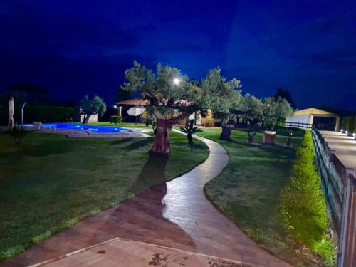 Treglio House | Giardino tra gli ulivi