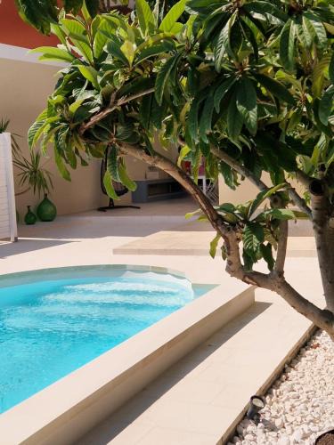 Leverano Bed & Breakfast | Gis B&B ad una sola camera con piscina ad uso esclusivo