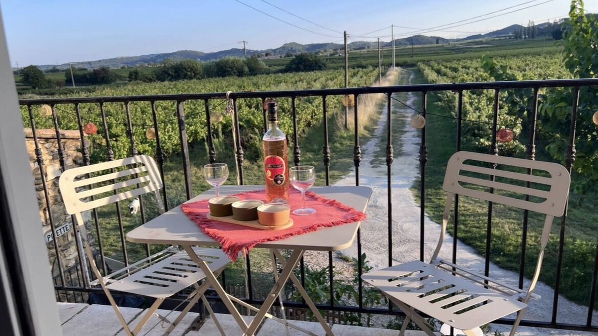 Pont-Saint-Esprit Apartment | Gite de ROSE under the stars in GARD