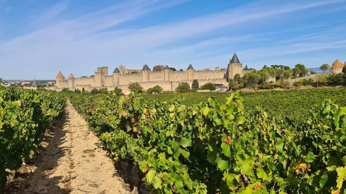 Carcassonne Cottage | Gite Domaine Fon