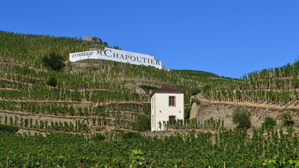 Tain-l'Hermitage House | Gîte La Tour du Pavillon in the heart of the Ermitage vineyards