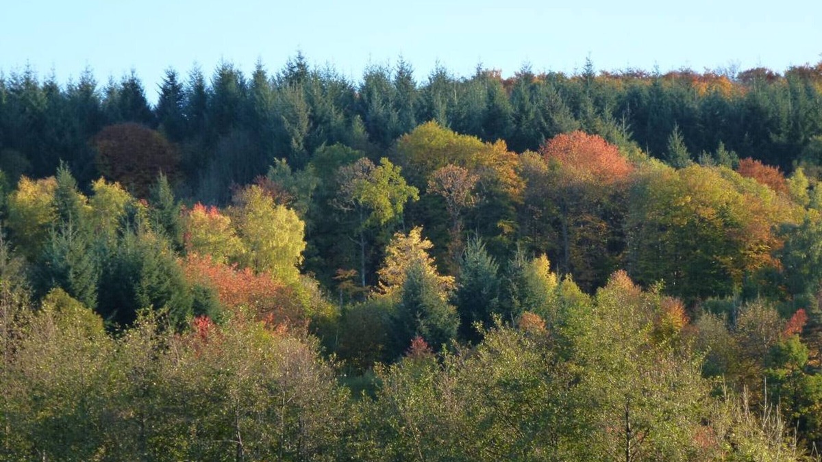 Le Mayet-de-Montagne Cottage | Gite Le Mayet-de-Montagne, 3 bedrooms, 6 persons