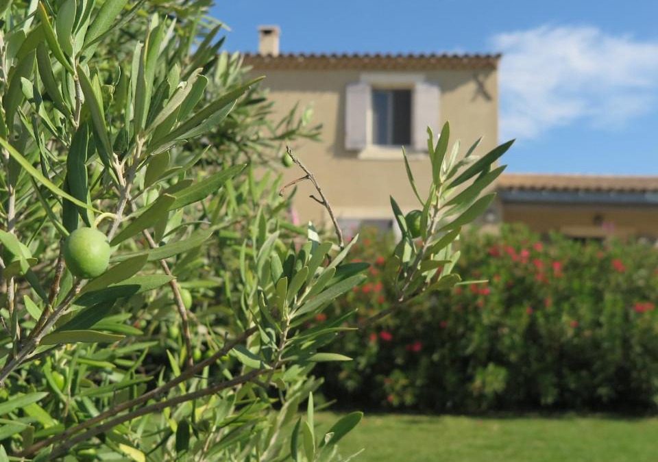 Cabrieres-d'Avignon Apartment | Gite LE PETIT LUBERON COQUELICOT