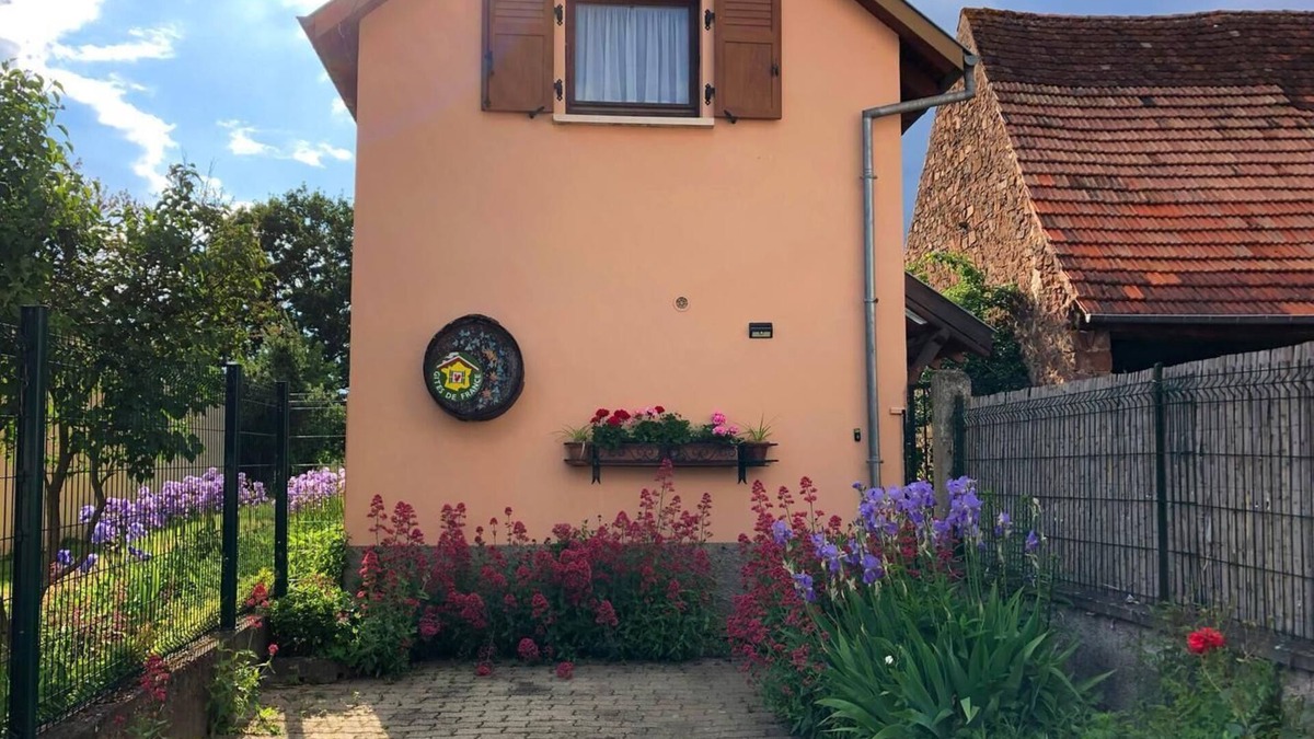 Gresswiller House | Gîte located on the Strasbourg and Colmar wine route, Gresswiller. Christmas market