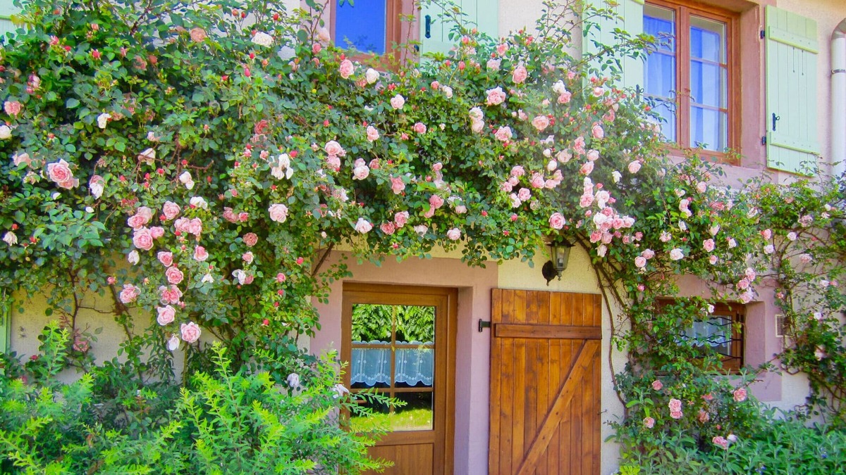 Saint-Ame Cottage | Gite Saint-Amé, 2 bedrooms, 4 persons