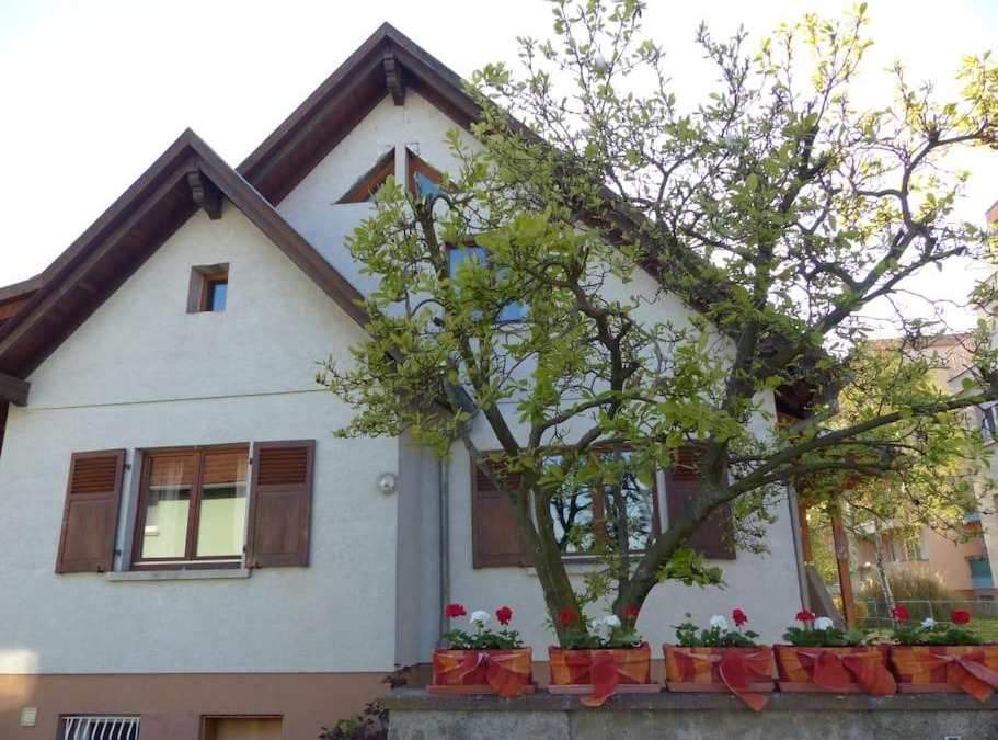 Selestat Apartment | GITE SPACIEUX AU COEUR DE L'ALSACE 3*