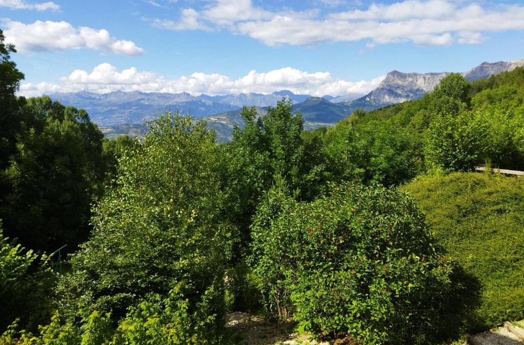 Saint-Vincent-les-Forts Apartment | Gites Chalet Grand Cerf Montclar-Ubaye
