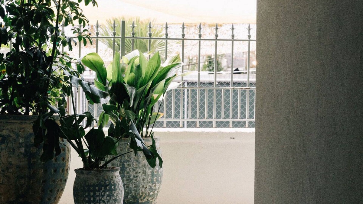 Venice Hotel | Gjelina Hotel