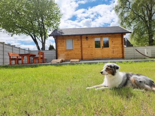 Oberhavel House | Glückseligkeit am Waldesrand