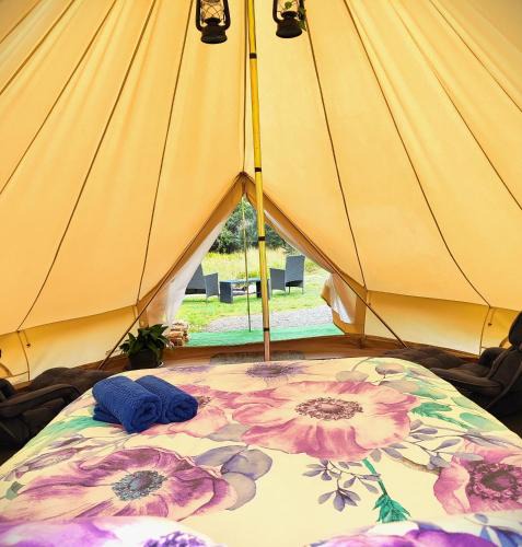Zeehan Other | Glamping at Zeehan Bush Camp