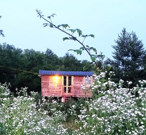 Albairate House | Glamping Casetta sul lago
