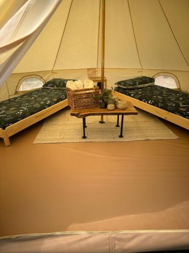 Sicignano degli Alburni Other | Glamping Di Palma