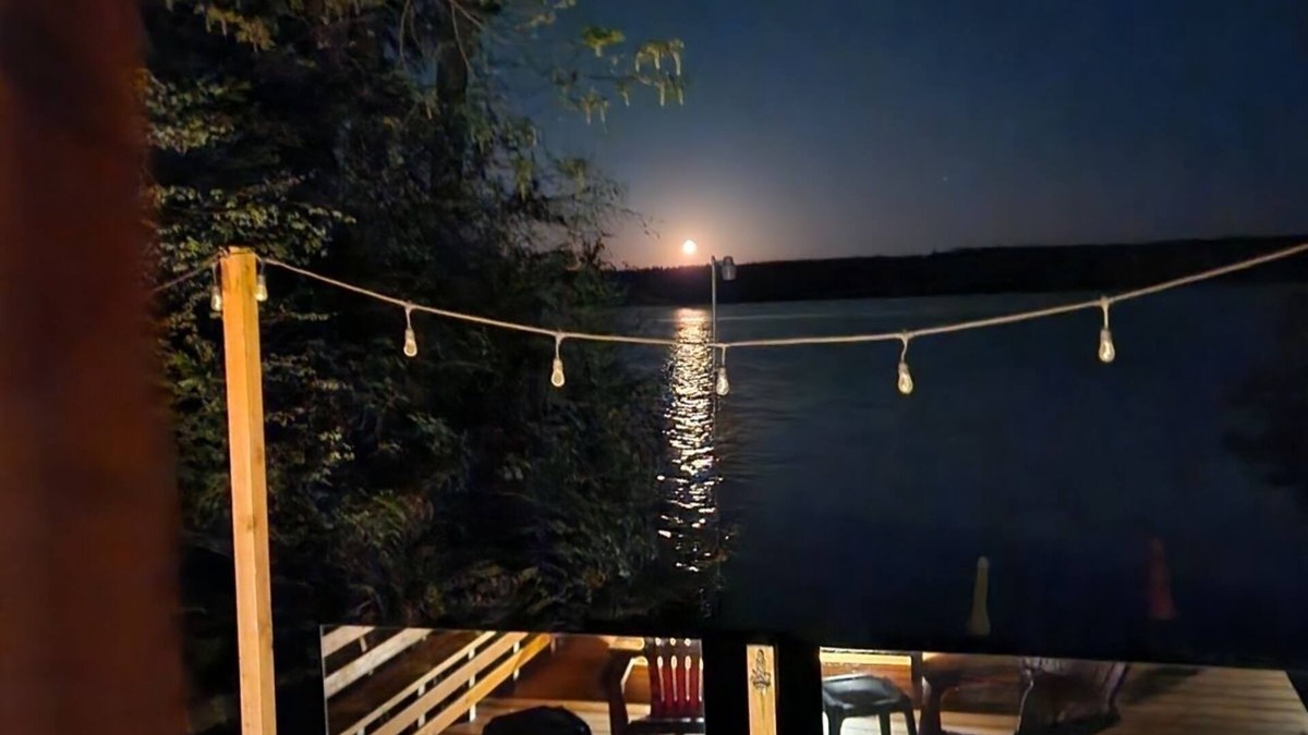 Tillicum Cabin | Glamping on the Puget Sound - Small Waterfront Cabin