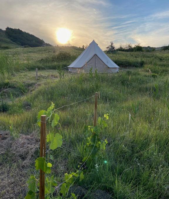 Izvoranu Other | Glamping Orange Valley
