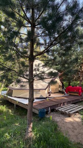 Vilnius Other | Glamping under the pines