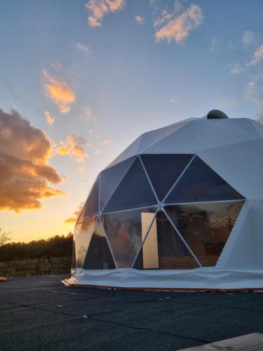 Mihaesti Other | GlampingDenis Igloo