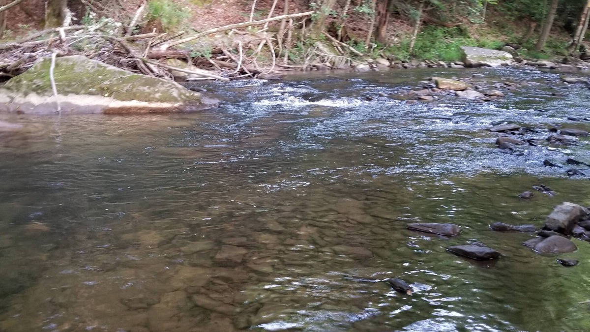 Helvetia RV Rental | Glarus - Riverside 36' RV, trout stream firepit