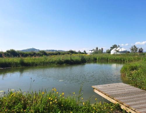 Glastonbury Other | Glastonbury Wild Glamping
