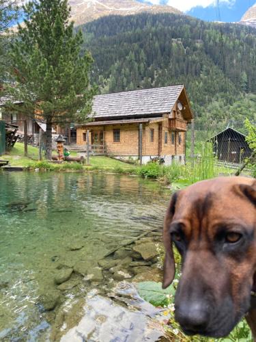 Flattach House | Gletscher Chalet