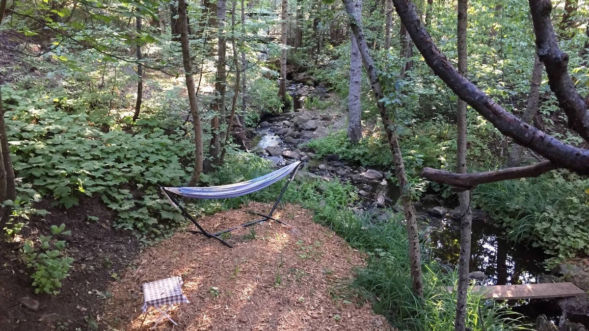 Camp Connell Cabin | Glorious Summer At Cabin On The Creek