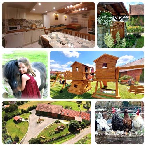 Niemodlin Apartment | Gościnna Zagroda Gościejowice Noclegi Apartamenty Agroturystyka Niemodlin