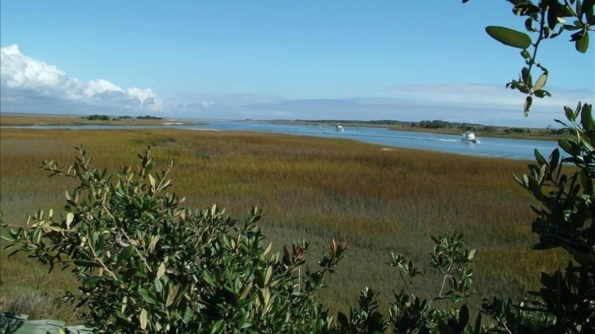 Isle of Palms Cottage | Goat Island Getaway 2 Bedroom Island Cottage Accessible by Boat