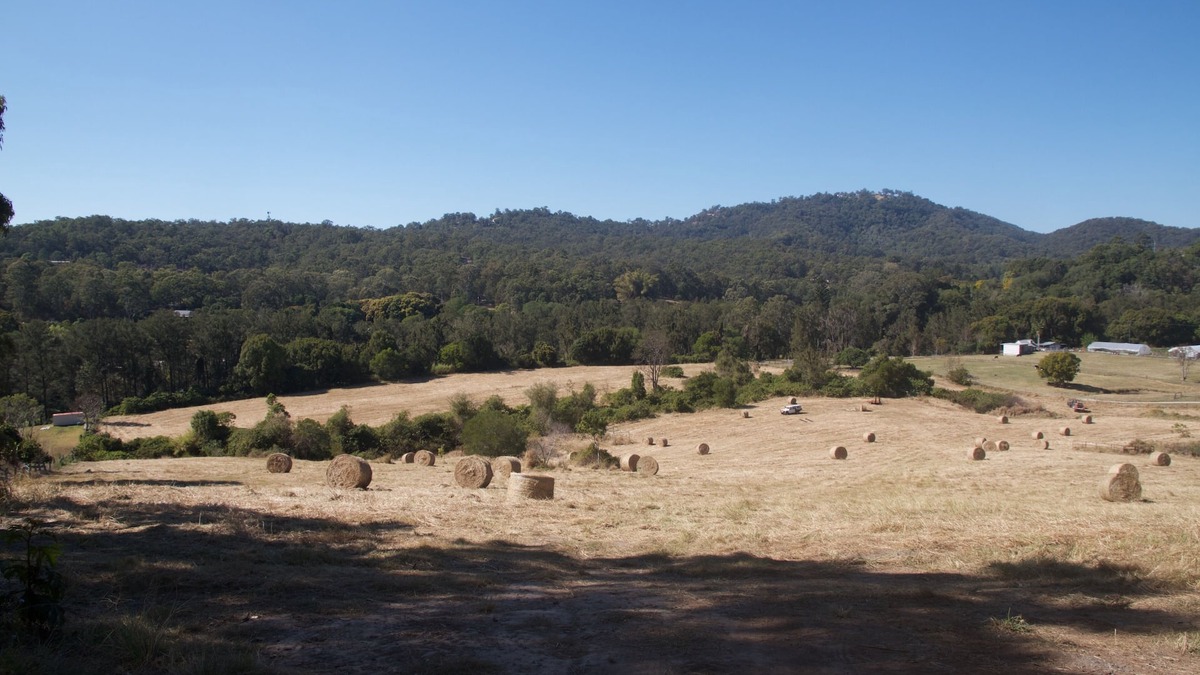 Advancetown Other | Gold Coast Riverfront 20 acres with 3 brm Accommodation
