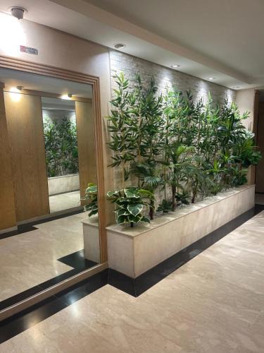 Haut Founty Apartment | Golden Horn Apartment