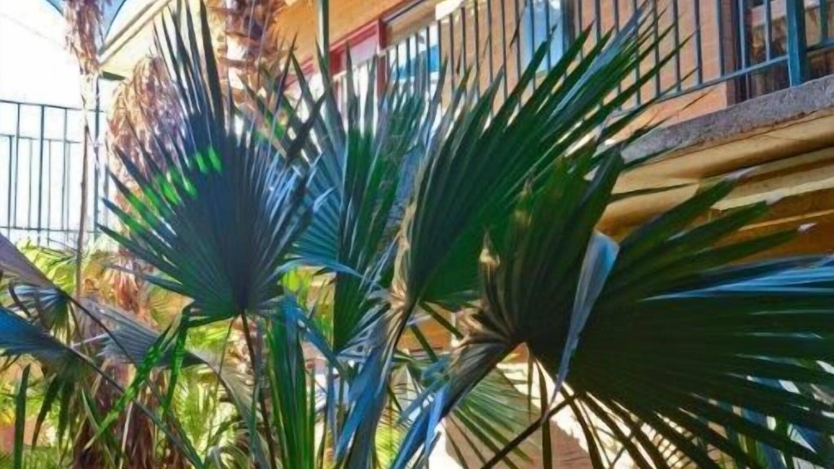 Tennant Creek Hotel | Goldfields Hotel Motel