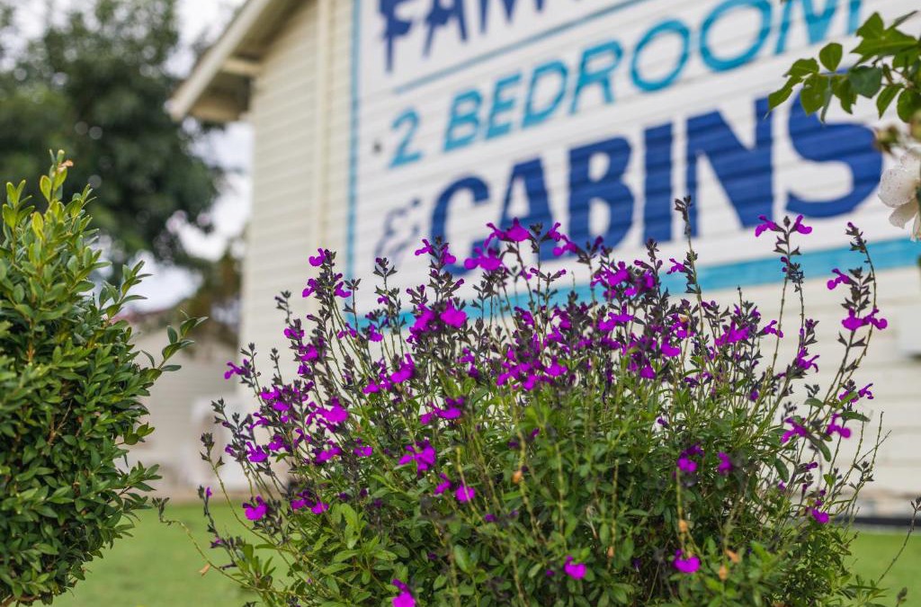 Tenterfield Hotel | Golfers Inn