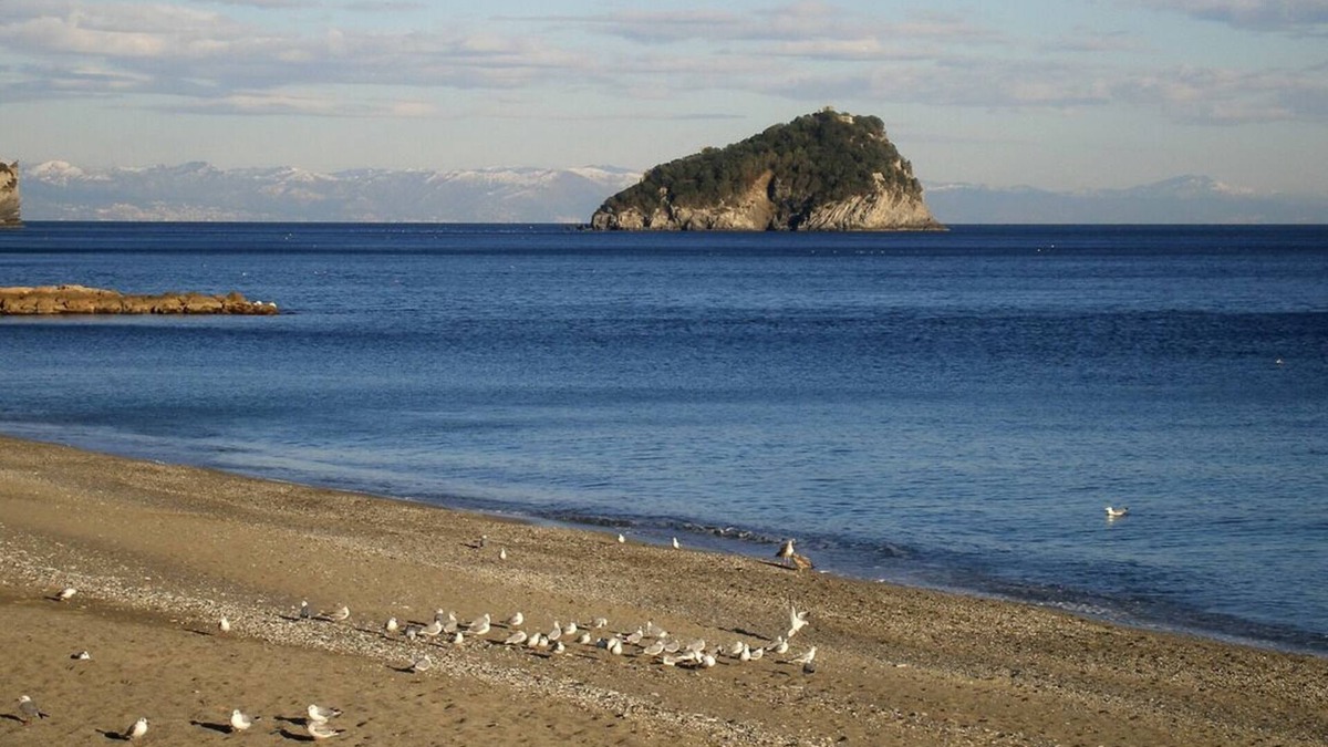 Torre del Mare Apartment | Golfo dell'Isola - Appartamento fronte mare