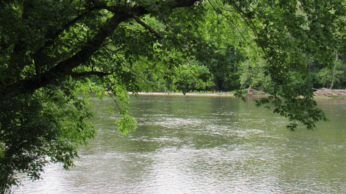 Rileyville House | Good Mill Riverfront Cottage