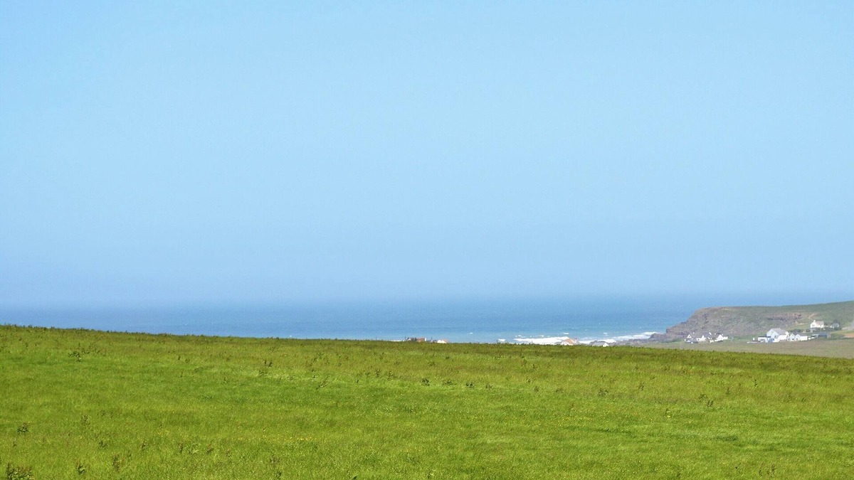 Widemouth Bay Cottage | Goose Cottage - UKC2676