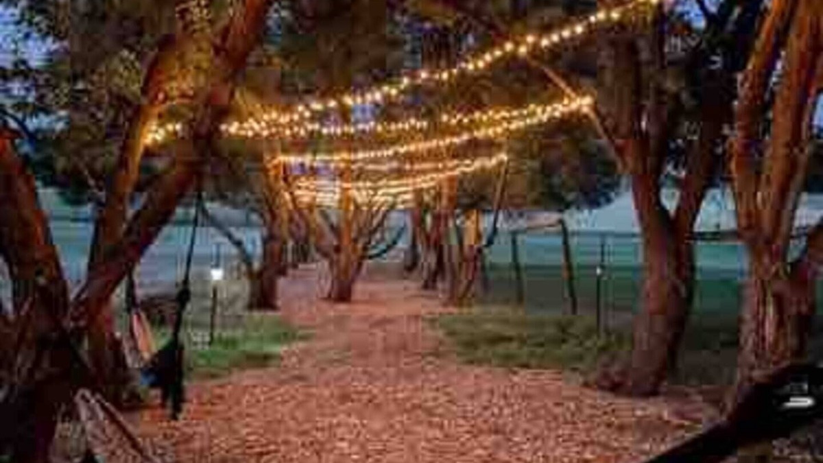 Sheridan Other | Goose Valley Farm, Alpaca Farm under the Big Horn Mountains