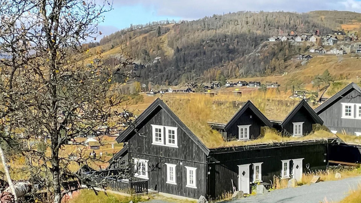 Rauland House | Gorgeous home in Rauland with WiFi