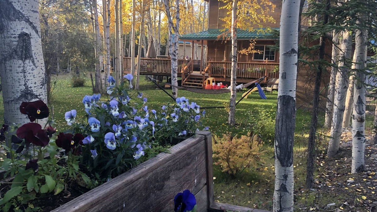 Healy House | Gorgeous House in Healy, with HOT TUB