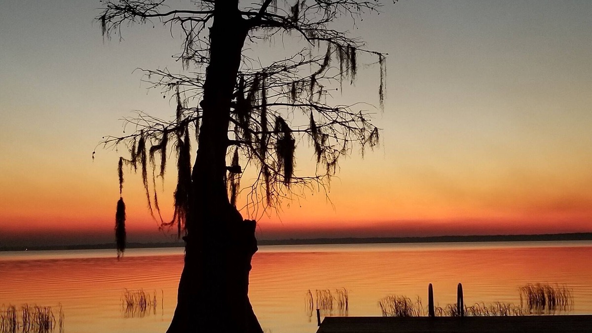Hawthorne House | Gorgeous Lake Retreat! Fully Remodeled! Lochloosa on my Mind!
