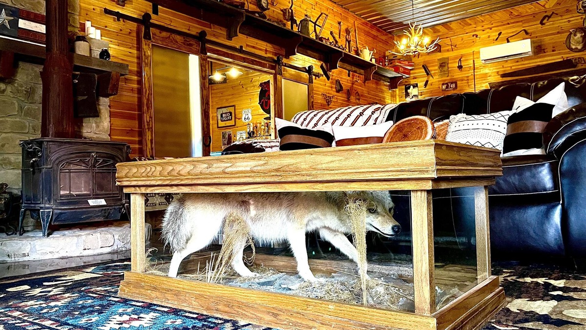 Martinsville Cabin | Gorgeous Luxury Cabin with Private Horse Stalls & Over 20 miles of trails