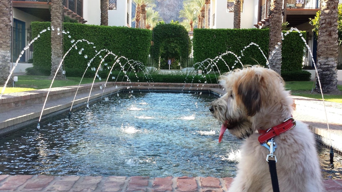 La Quinta Villa | GORGEOUS LUXURY VILLA - UPSTAIRS UNIT & PRIME LOCATION;