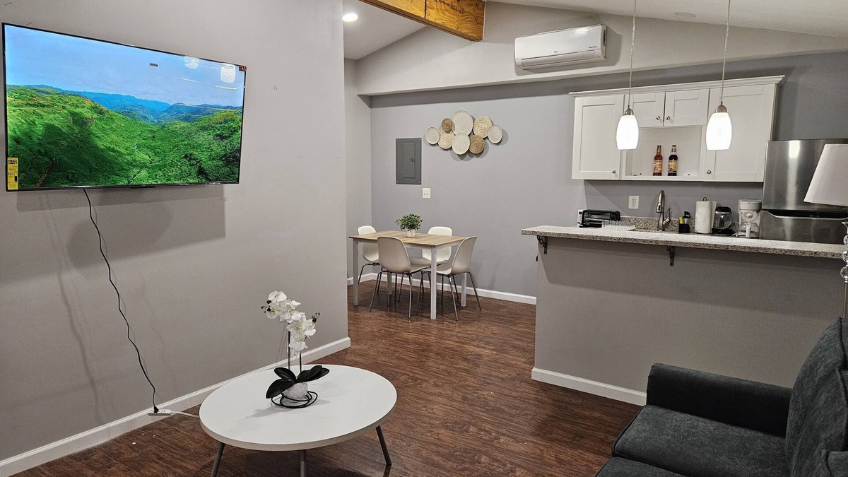 Springfield Apartment | Gorgeous Suite - 1 Bed, 1 Bath