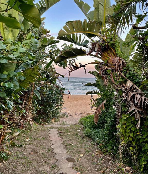 Ramsgate Beach Cabin | Gracelands Beach Lodge
