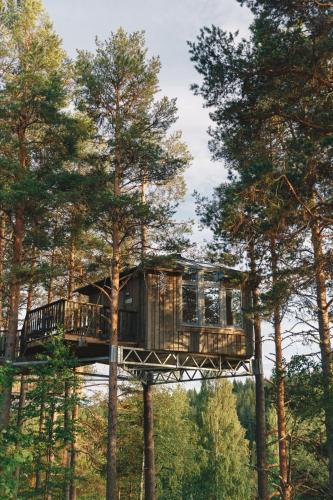 Grano Cabin | Granö Beckasin