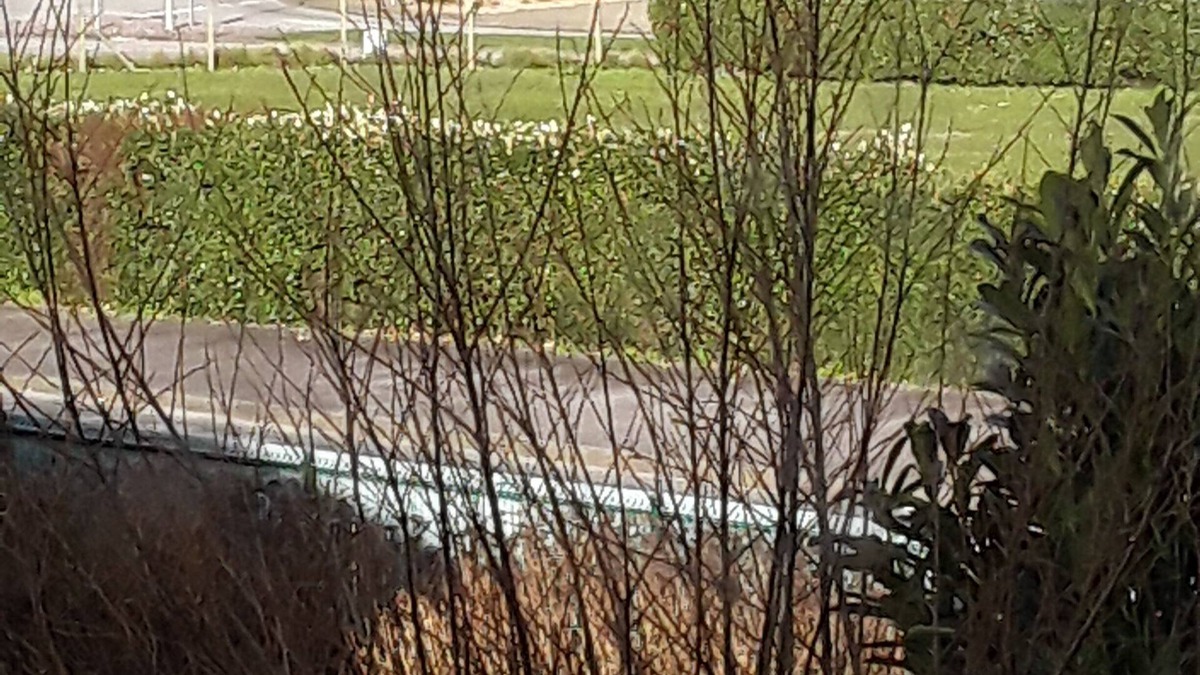 Cherbourg-en-Cotentin House | Grand Pavillon Avec Jardin vue sur mer