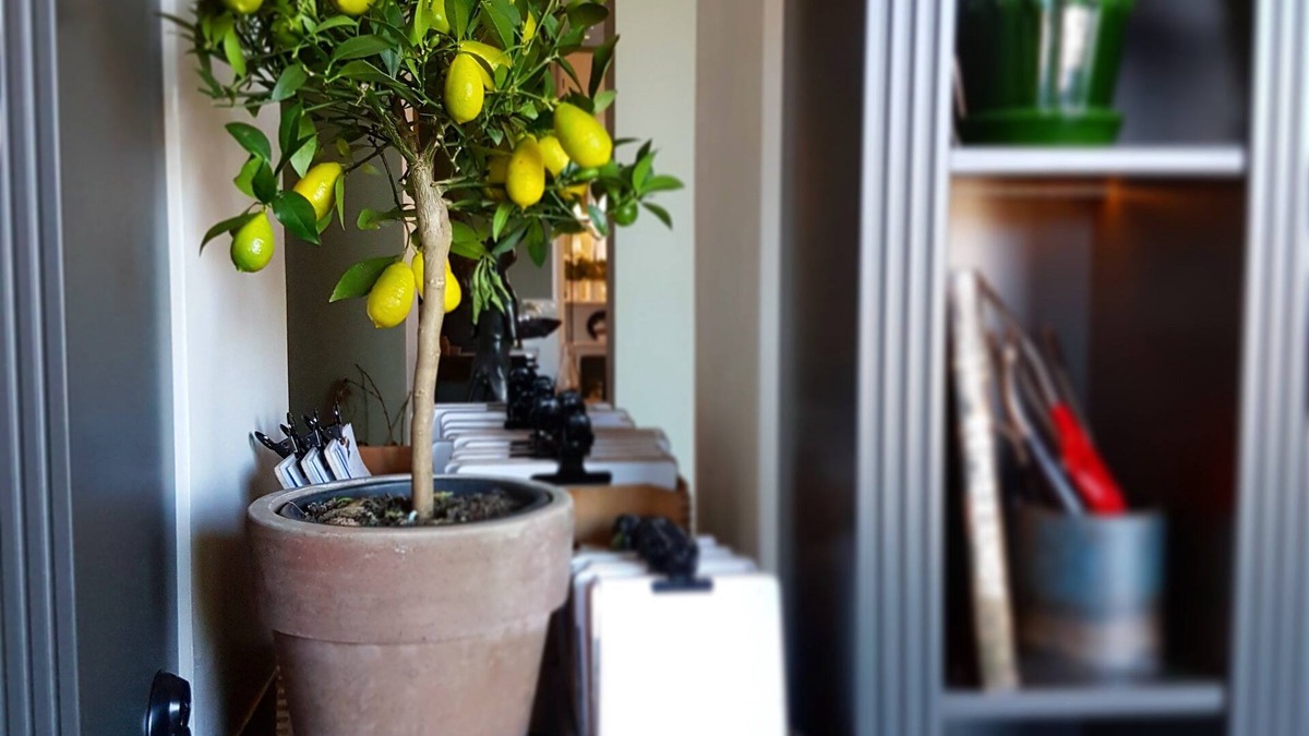 Halmstad Hotel | Grand Halmstad, WorldHotels Crafted