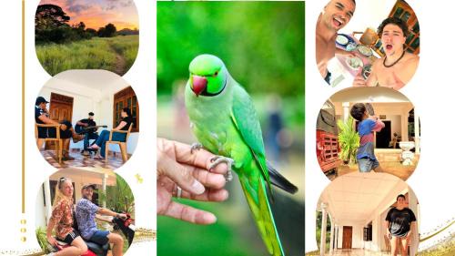 Anuradhapura House | Grand Refuge wilpathu safari Home made foods Bikes Bicycles Tuk tuk Bird view Lake jogging