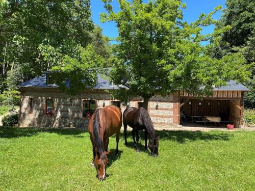 Ecrainville House | Grande et belle maison ancienne restaurée